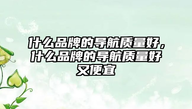 什么品牌的導(dǎo)航質(zhì)量好，什么品牌的導(dǎo)航質(zhì)量好又便宜